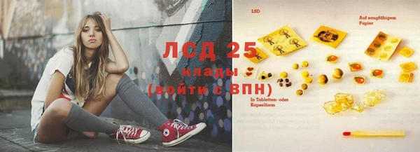 дживик Баксан