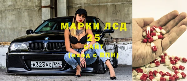 прущий лед Алзамай