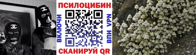 Псилоцибиновые грибы прущие грибы  Ишим 